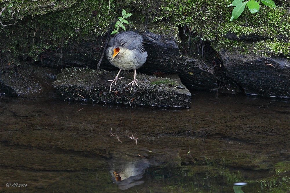 Schlaraffenland war gestern...!