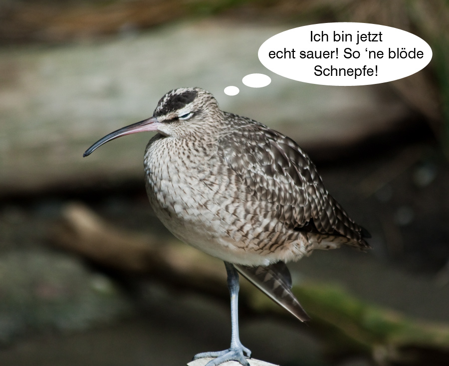 Schlecht gelaunt