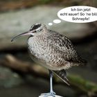 Schlecht gelaunt