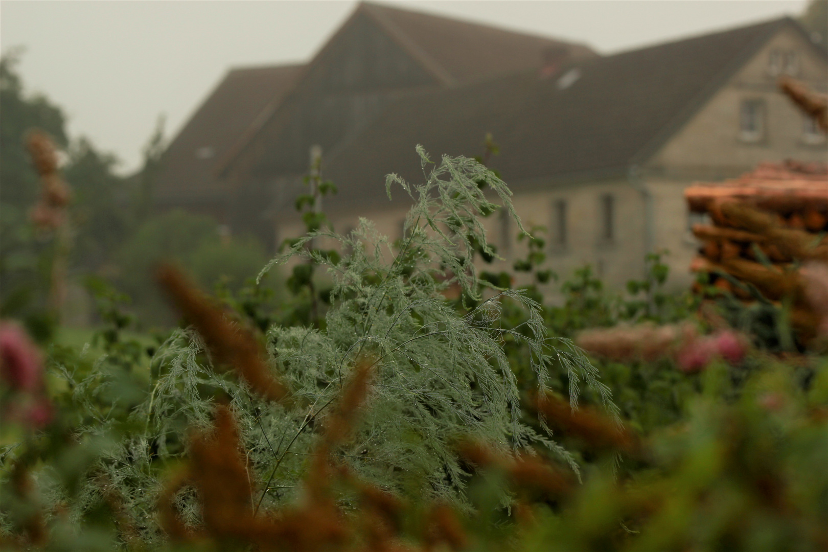 Schlecht Wetter ist auch irgendwie schön....