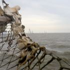 Schlecht Wetter und mit dem Plattboot auf dem holländischen Wattenmeer