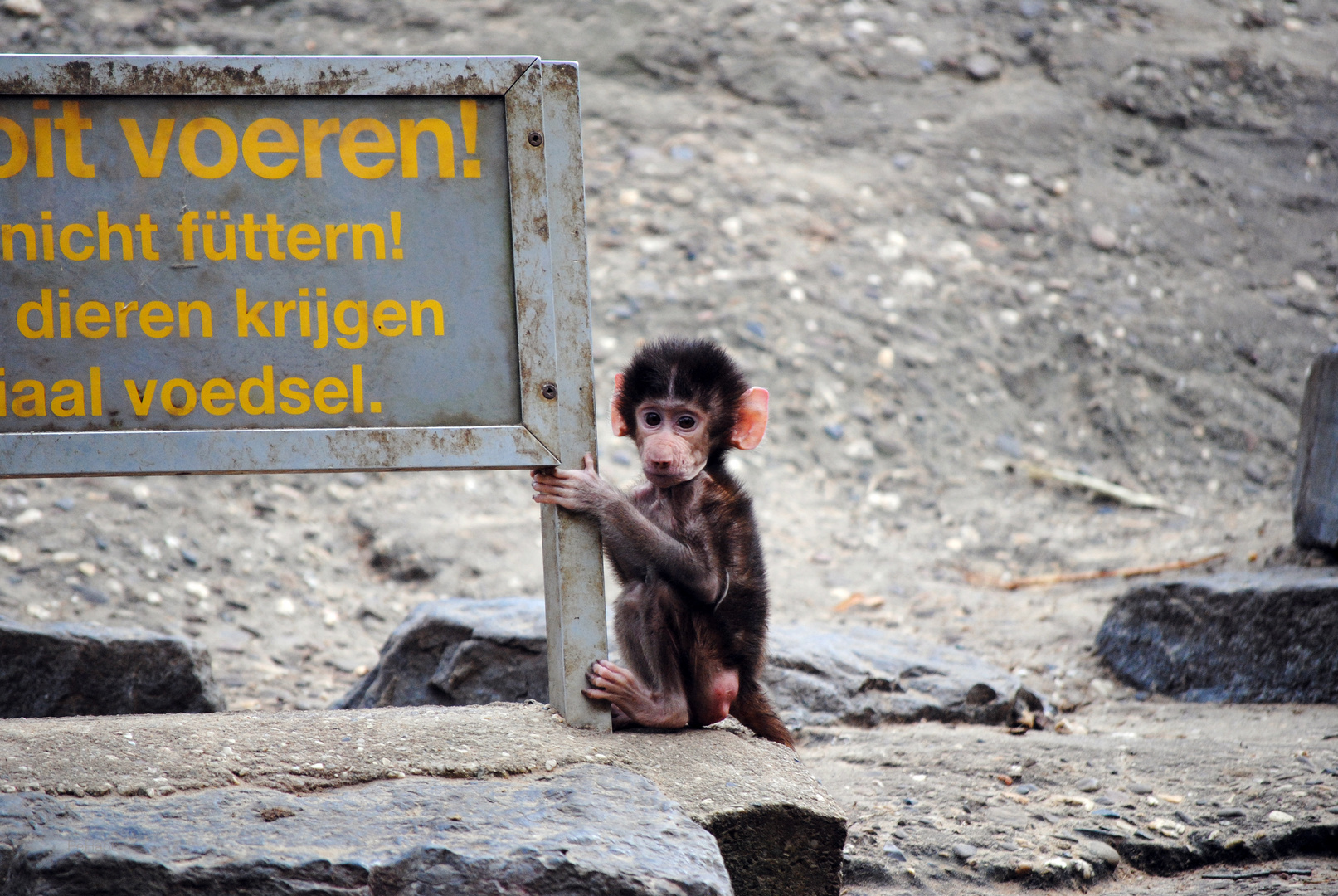 Schlechte Aussichten