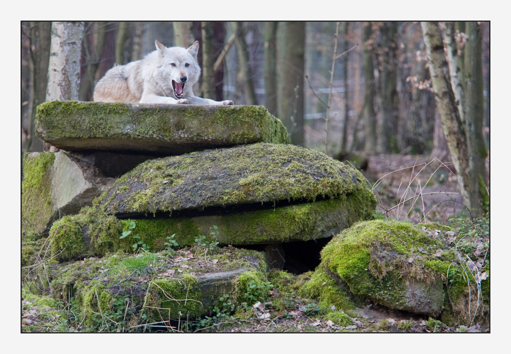 Schlechte Laune?