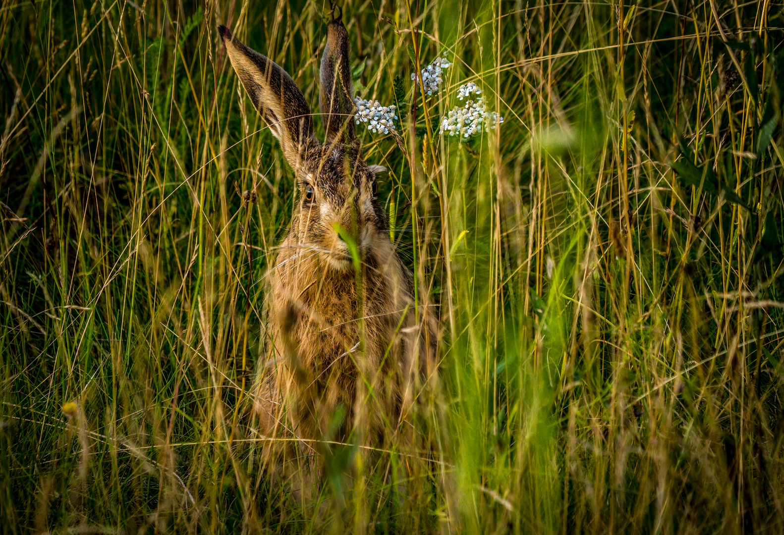 "SCHLECHTES VERSTECK"