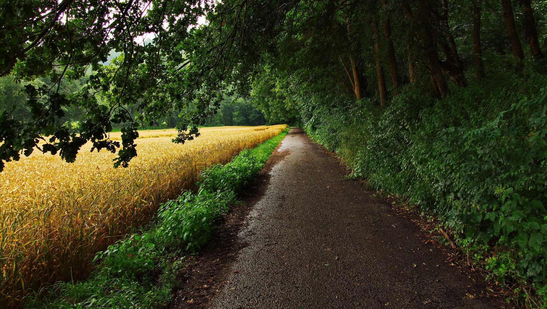 Schlechtes Wetter...