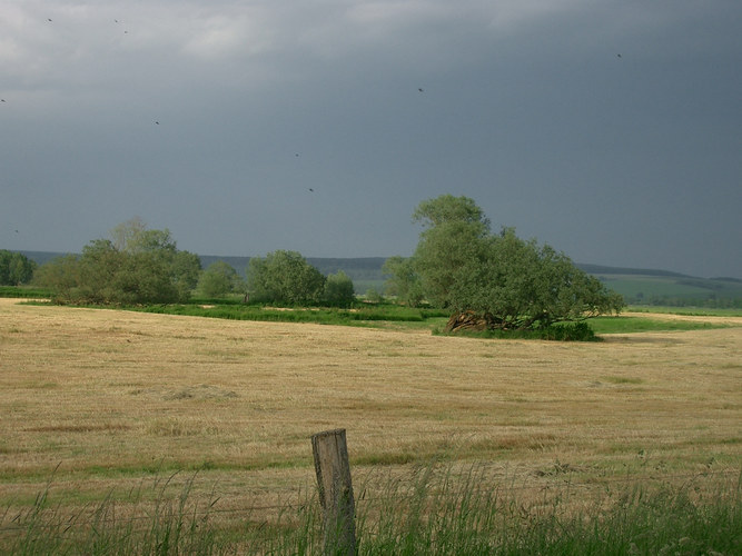 Schlechtes Wetter?!