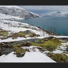 Schlechtes Wetter am Fjord