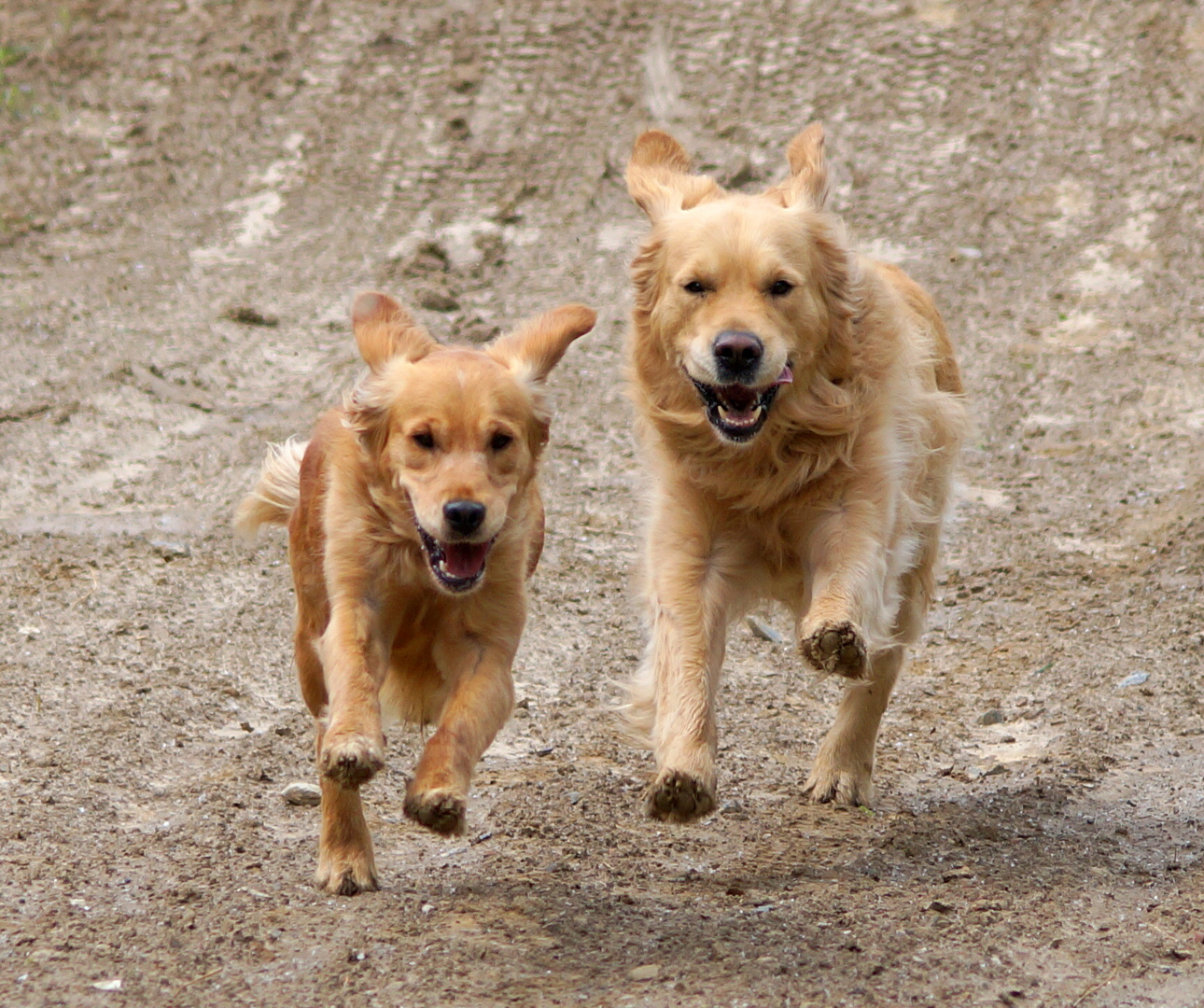 Schlechtes Wetter???