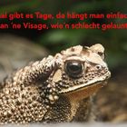 Schlechtgelaunterlurch