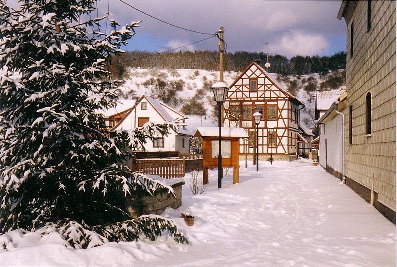 Schlechtsart im Winter