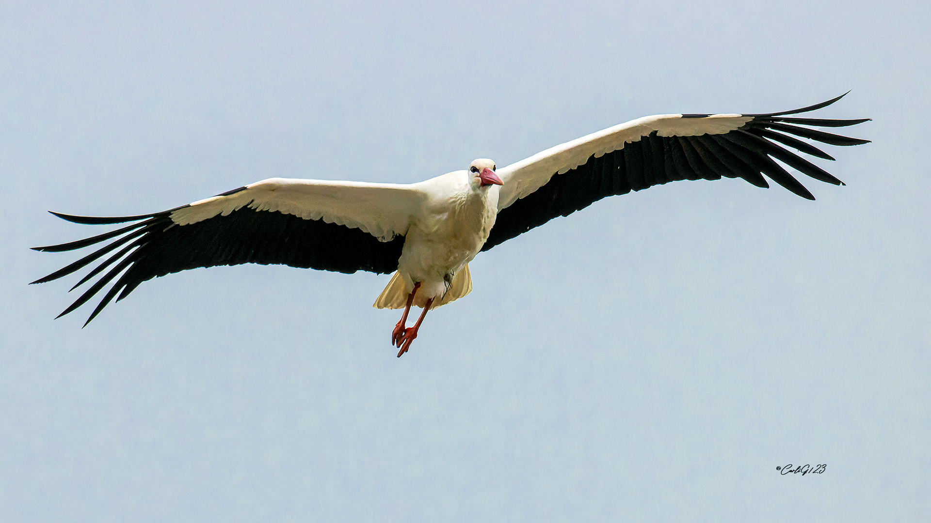 Schlechtwetter Flug