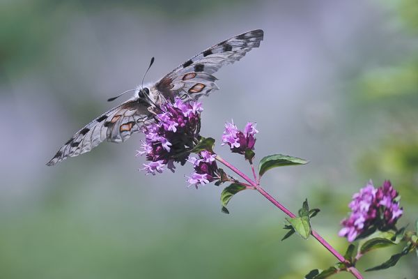 Schlechtwetter zog auf