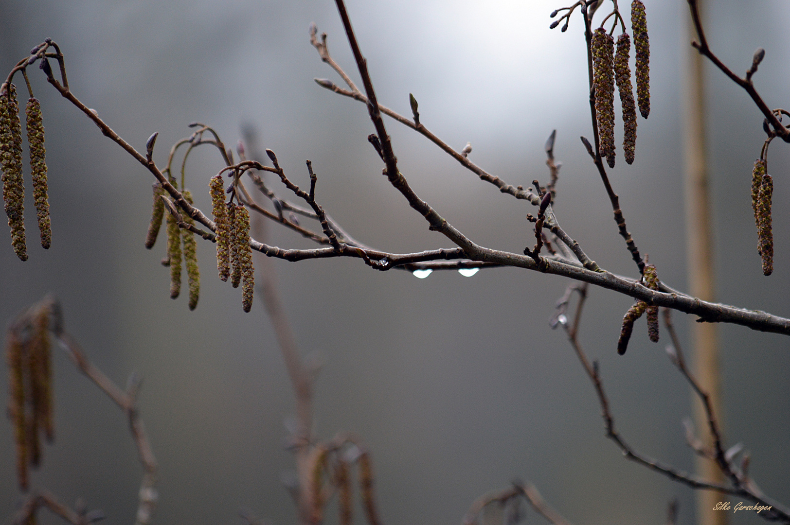 Schlechtwetterfoto