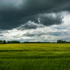 Schlechtwetterfront