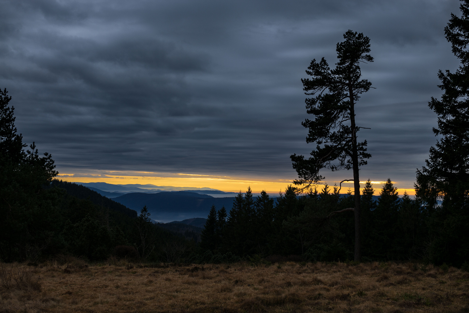 Schlechtwetterfront an der Schwarzwaldhochstraße