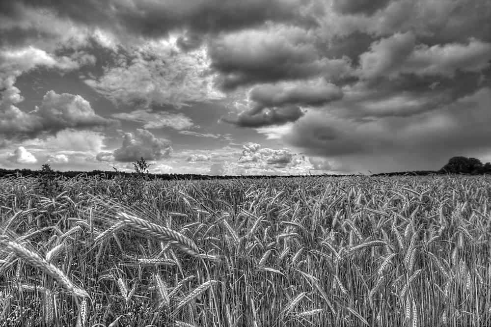 Schlechtwetterfront