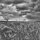 Schlechtwetterfront