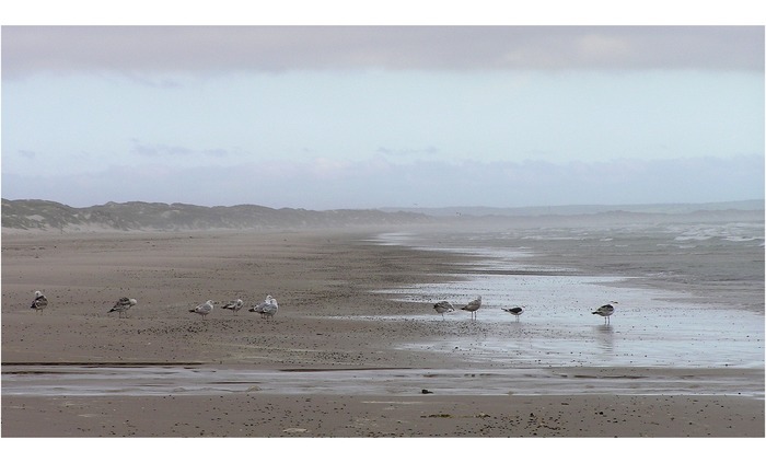 schlechtwetterfront