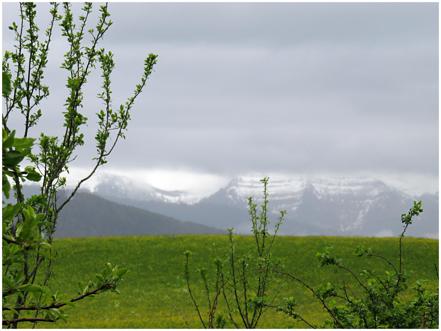 Schlechtwetterstimmung