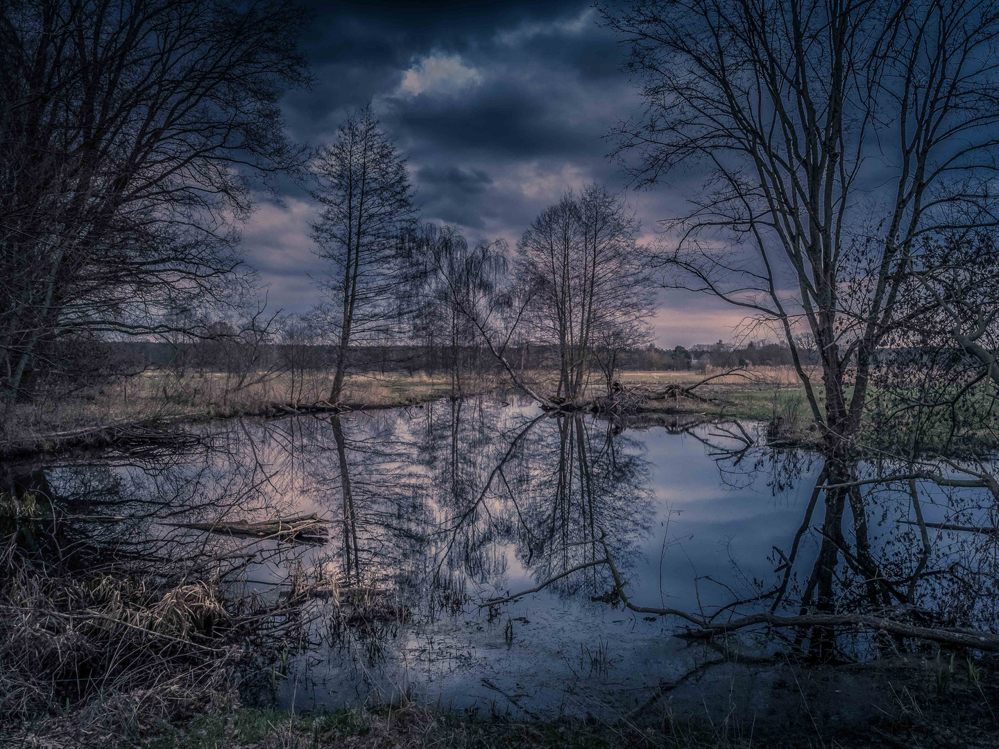 Schlechtwetterszenario am Teich