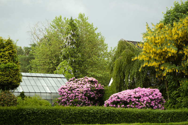 Schlechtwettertag im Frühling