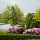 Schlechtwettertag im Frühling