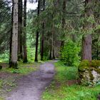 Schlechtwetterwanderung am Illweg…