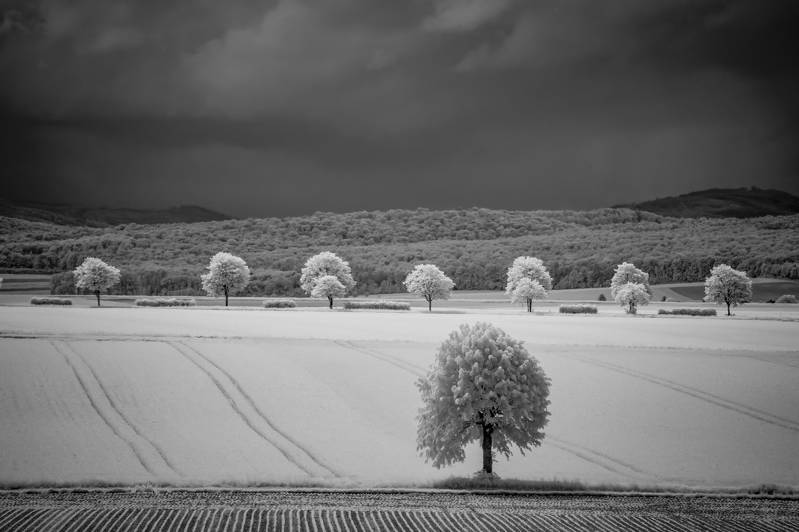 Schlechtwetterzone