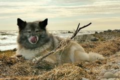 Schleck!