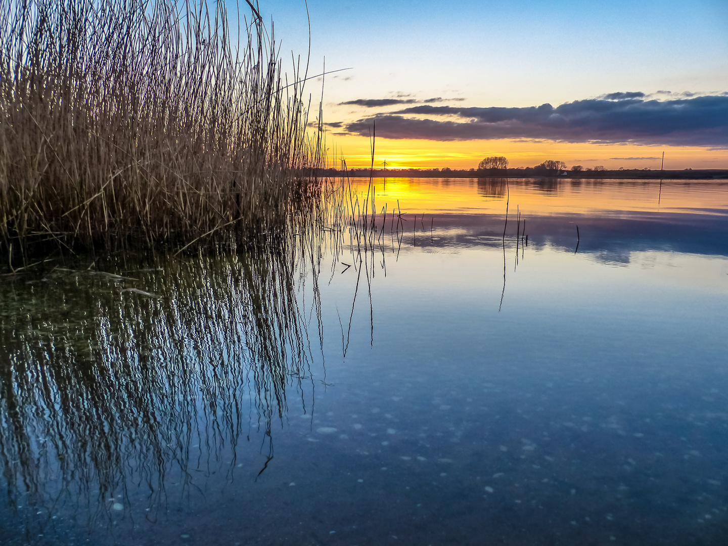 Schlei, Abenstimmung