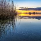 Schlei, Abenstimmung