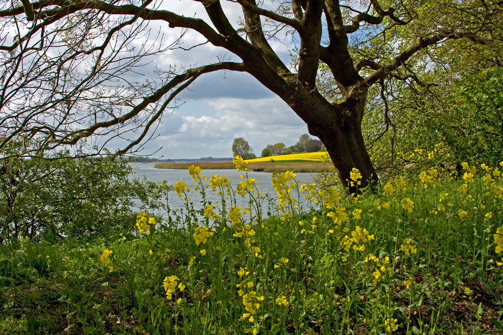 Schlei-Blick