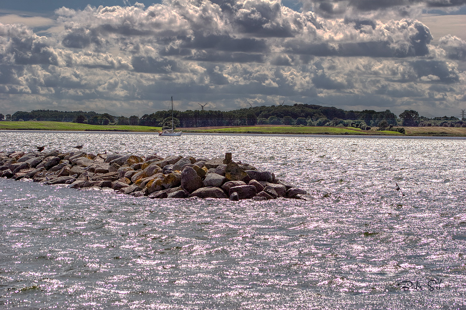 Schlei-Impressionen...