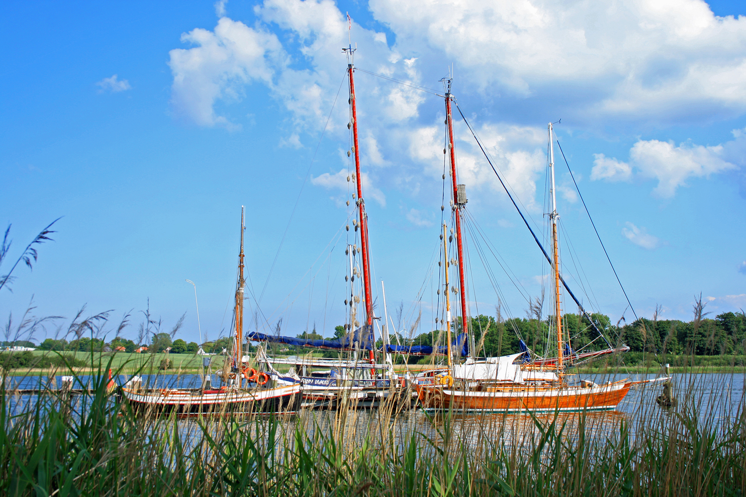 Schlei-Impressionen