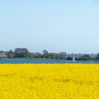 Schlei-Landschaft