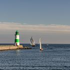 Schlei Ostsee.....die Rückkehrer ....