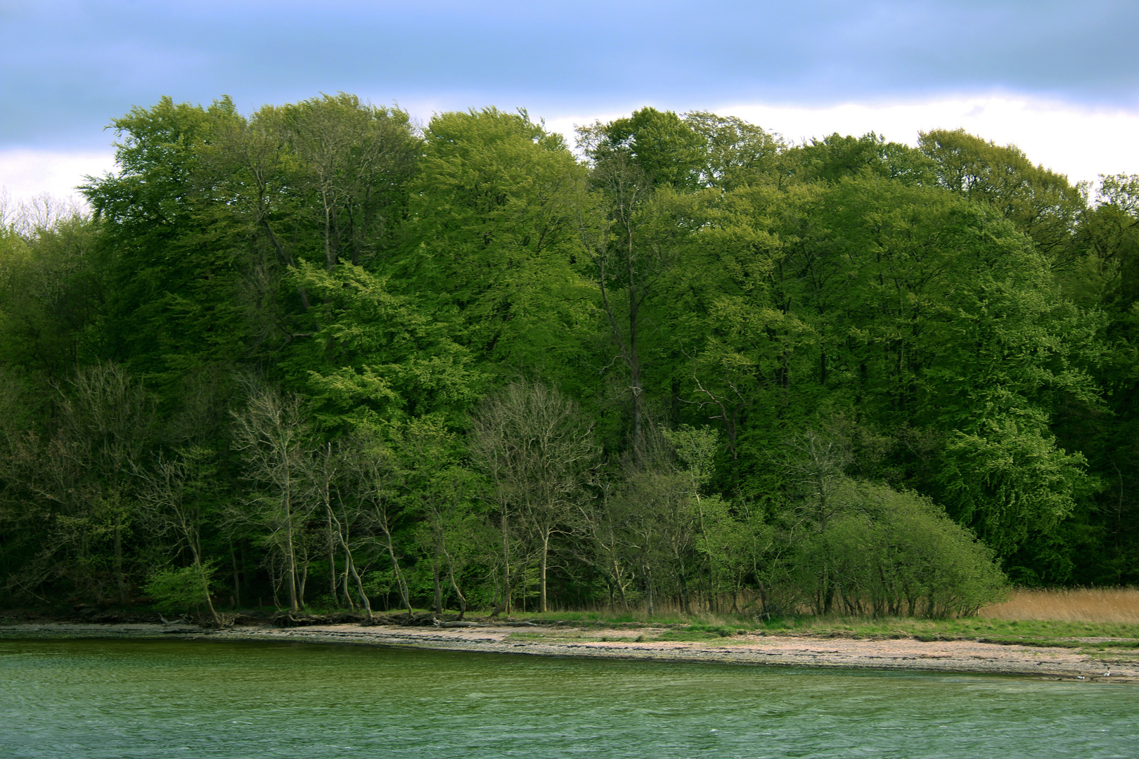 Schlei - Strand Am Ellenberger Holz