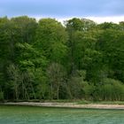 Schlei - Strand Am Ellenberger Holz