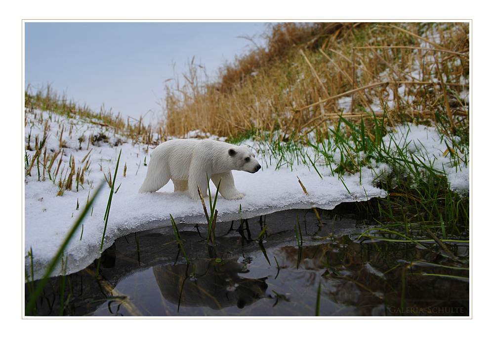 Schleich Eisbärin