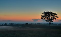 schleichender Bodennebel