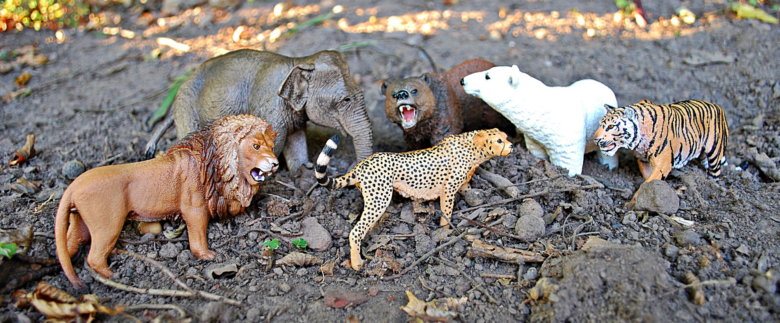 Schleichtierzoo...