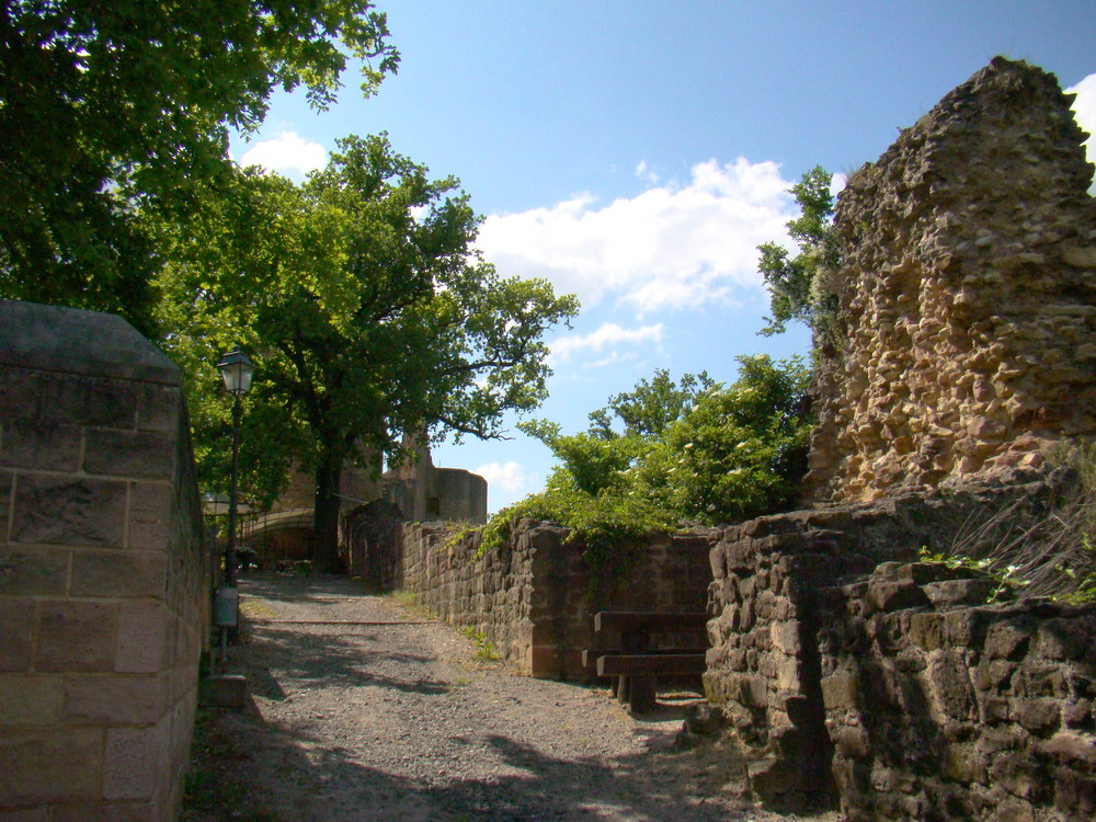 schleichweg der burg neuleiningen