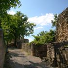 schleichweg der burg neuleiningen