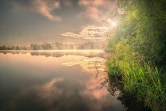 *Schleier des Tages*