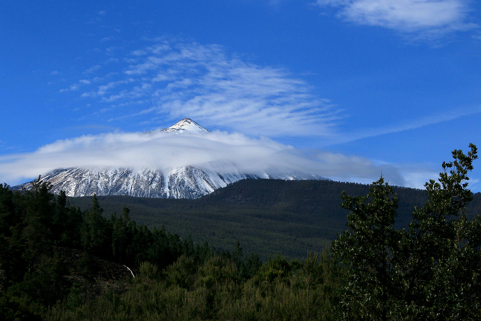 Schleier-Teide