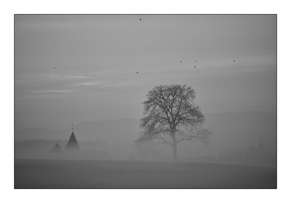 Schleier über Opfikon