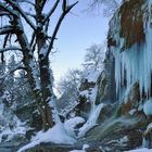 Schleierfälle im Januar