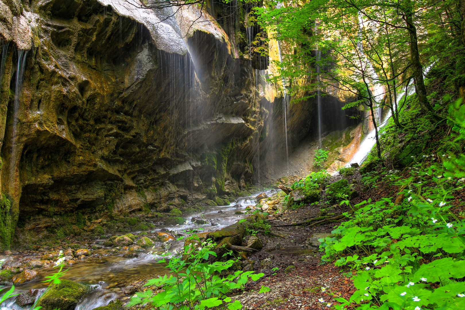 Schleierfall im Sommer