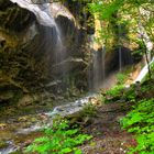 Schleierfall im Sommer