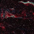 Schleiernebel ("Cirrusnebel-Komplex") mit "Sturmvogel" (NGC 6960 ) und benachbarten Filamenten